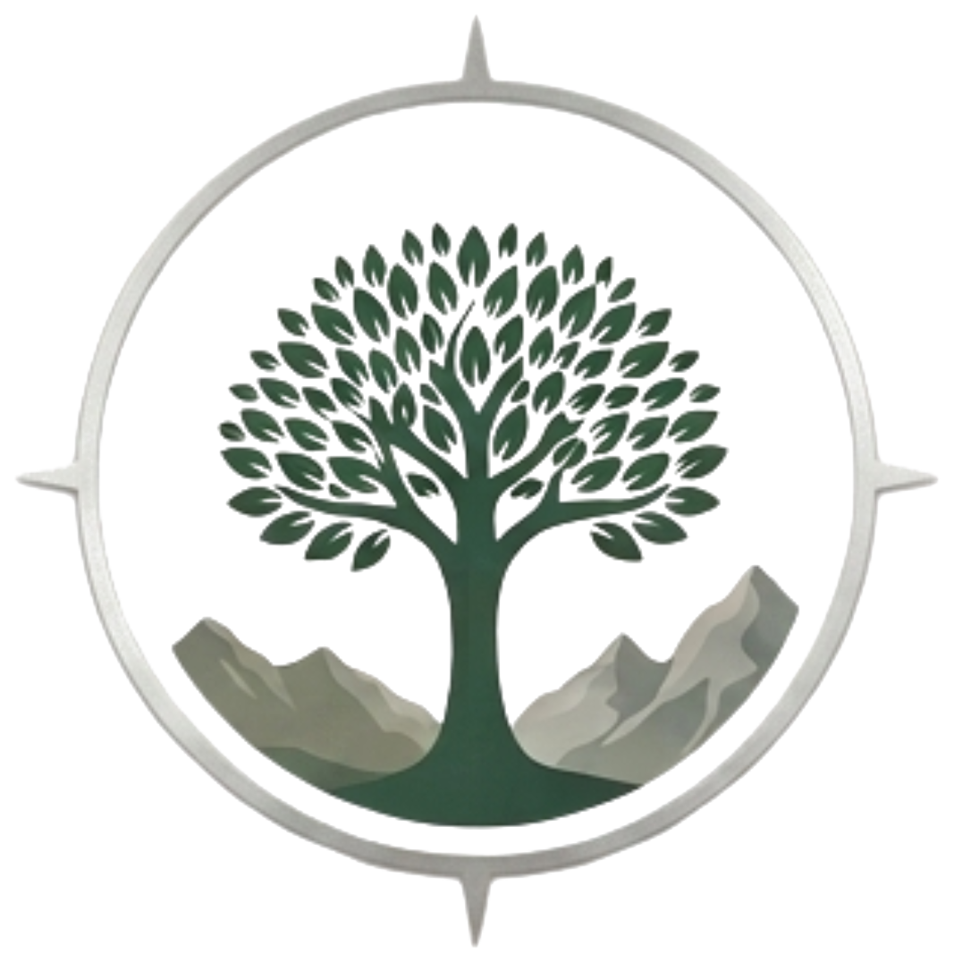 True North Logo